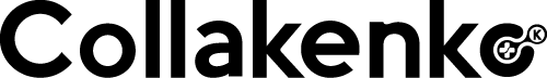Asset 6